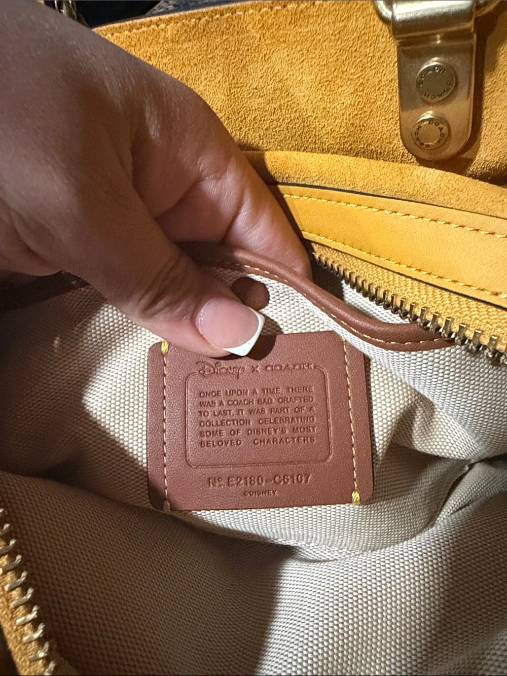 Disney X Coach Women's Rogue Bag 25 with Mickey Mouse
